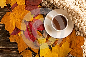Autumn, fall leaves, a hot cup of coffee and a warm scarf on the background of a wooden table. Seasonal, morning coffee, Sunday re