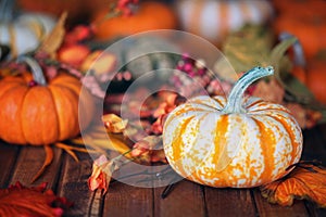 Autumn, fall leaves pumpkins background