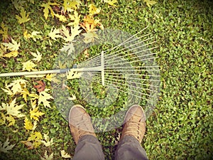 Autumn fall leaves rake background