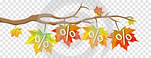 Autumn Fall Leaves Sale Promotion Offers Discount isolated vector