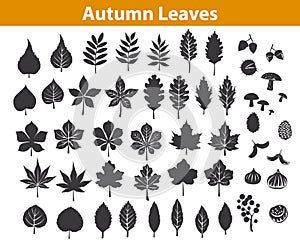 Autumn fall leaves silhouettes set in black color