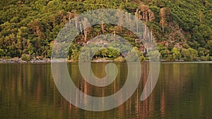 Autumn Fall Leaves & Trees with Vibrant Lake Reflection - Mountain Landscape, Static View in Snowdo