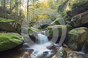 Autumn fall mountain waterfall stream in the rocks with colorful fallen dry leaves, landscape, natural seasonal background