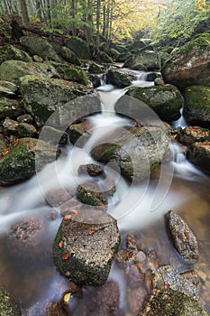 Autumn fall mountain waterfall stream in the rocks with colorful fallen dry leaves, landscape, natural seasonal background