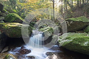 Autumn fall mountain waterfall stream in the rocks with colorful fallen dry leaves, landscape, natural seasonal background