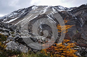 Autumn / Fall in Parque Nacional Torres del Paine, Chile