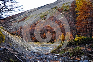 Autumn / Fall in Parque Nacional Torres del Paine, Chile