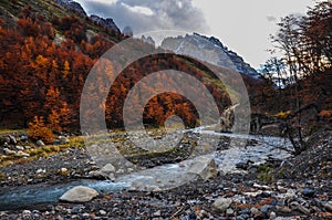 Autumn / Fall in Parque Nacional Torres del Paine, Chile