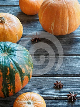 Autumn Fall Pumpkin Thanksgiving Background - orange pumpkins over wooden table