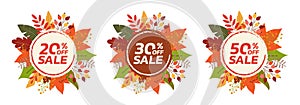 Autumn or Fall sale banner or badge set with leaf frame. 20, 30, 50 percent price off.