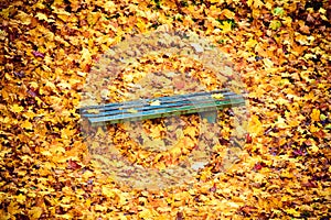 Autumn fall scenery. Bench and leaves in city park.