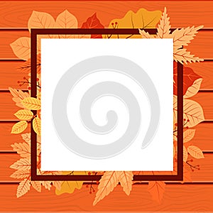 Autumn Fall Season Leaf Greeting Invitation Square Frame Wood Background