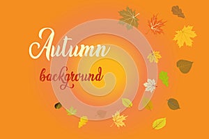 Autumn fall seasonal background design with golden, orange and red leaves.