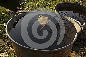 Autumn fallen leaf at the water in bucket