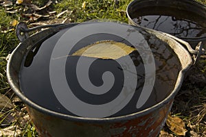 Autumn fallen leaf at the water in bucket