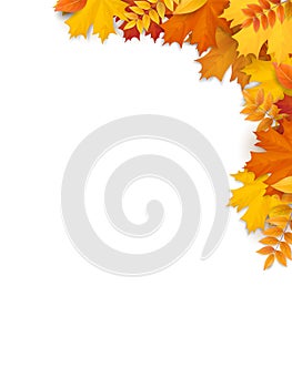 Autumn fallen leaves frame. Realistic vector illustration.