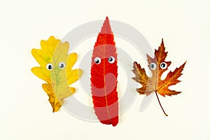 Autumn fallen leaves with funny faces on white background.