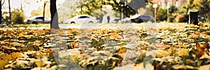 autumn fallen leaves of a maple tree on the ground on the green grass in city park. fall foliage on the land. blurred cars on the