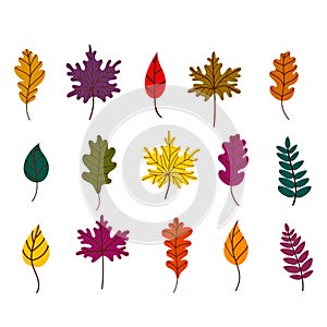 Autumn fallen leaves set. Maple, oak, and birch leaves isolated. Vector illustration in a flat style
