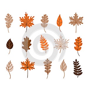 Autumn fallen leaves set. Vector illustration