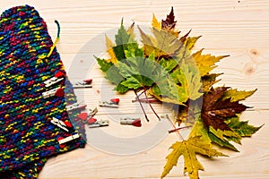 Autumn fallen leaves, tiny pins with hearts and knitted scarf on light background. Autumn colorful leaves on wooden