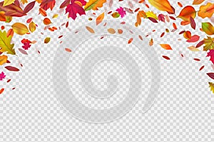 Autumn falling leaves. Autumnal forest foliage fall. Vector illustration isolated on white background