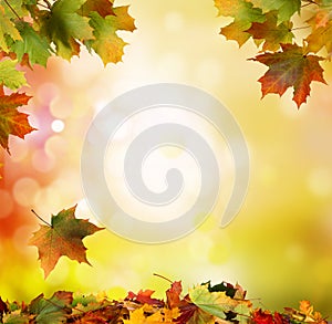 Autumn falling leaves background