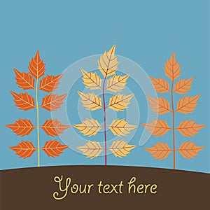 Autumn falling leaves background