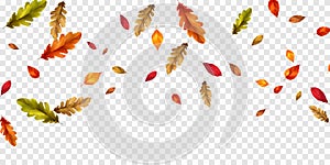 Autumn falling leaves background nature