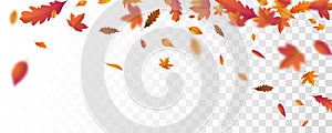 Autumn falling leaves background  Vector template