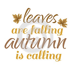 Autumn Falling leaves design for print