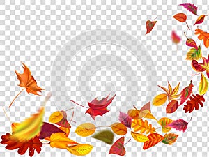 Autumn falling leaves. Leaf fall, wind rises autumnal foliage and yellow leaves isolated vector illustration