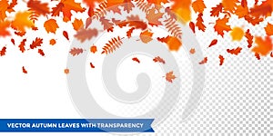 Autumn falling leaves pattern autumanl leaf fall on vector transparent background