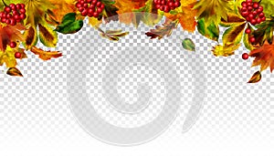 Autumn falling leaves on transparent background. Vector