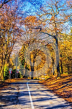 Autumn,  falls at the roads on the middle of nowhere