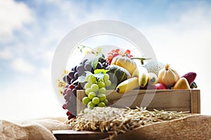 Autumn farm bountiful fruit and grain background and thanksgiving decoration