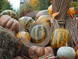 Autumn farmer\'s crop. Many different pumpkins on hay