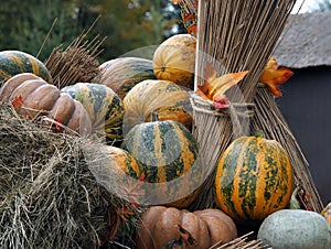 Autumn farmer\'s crop. Many different pumpkins on hay