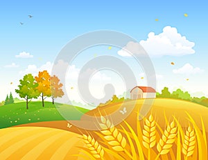 Autumn farmland