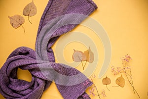 Autumn female outfit. Set of clothes, shoes and accessories on yellow background