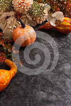 Autumn festival composition and Happy Thanksgiving Day or Halloween background
