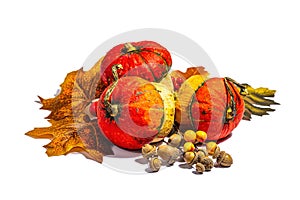 Autumn festive composition isolated on white background. Decorative pumpkin, fall leaves, berries