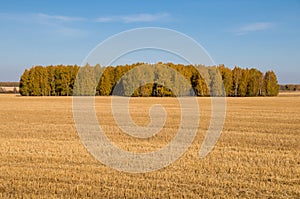 Autumn field and autumn forest