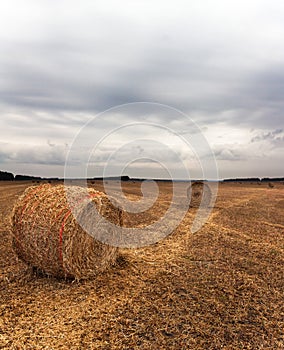 Autumn field with sheaves of hay and dramatic sky.