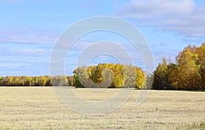 Autumn field in the South of Western Siberia