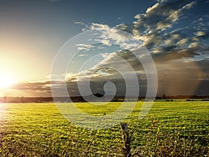 Autumn field at Sundown