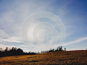 autumn field under the midday sun