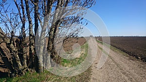 Autumn field whit country road