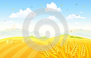 Autumn fields background