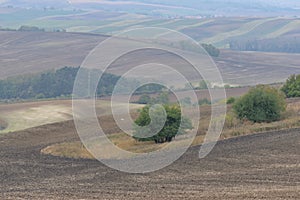 Autumn fields in Kyjov region of Moravia Czech Republic